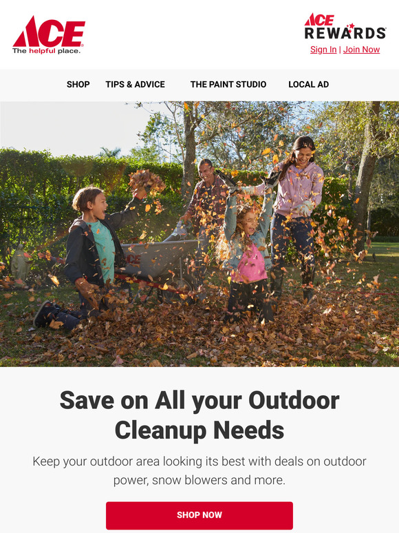 Ace Hardware Outdoor Power Deals to Fuel Fall Cleanup Milled