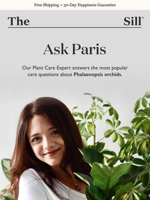 The Sill Our Plant Expert Answers Your Orchid Questions ️ Milled