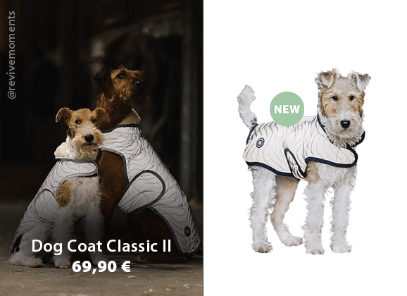 SPOOKS: Hundemantel Classic II