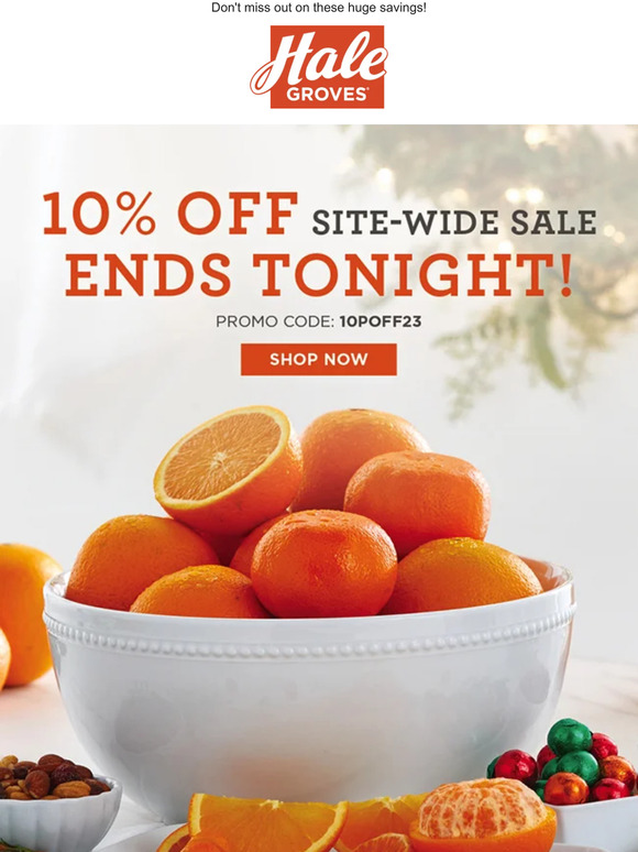 🎄 Your Last Chance for 10% Savings Ends TONIGHT! 🍊