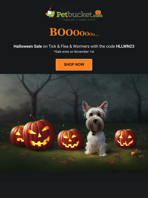 Halloween Sale is ON 👻👻👻