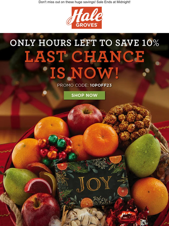 🎄 Only Hours left to save 10% Site-Wide - Last Chance is NOW! 🍊