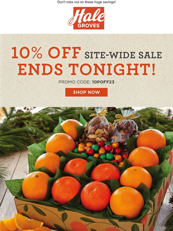 🎄 Our 10% OFF Site-Wide Sale Ends Tonight! ���