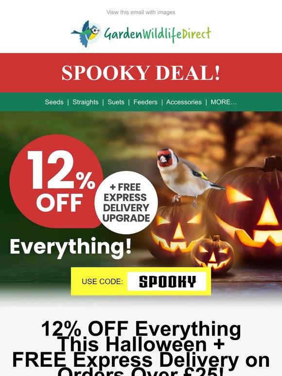👻BOO! Enjoy 12% OFF Everything + FREE Express Delivery This Halloween👻