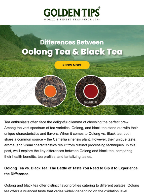 Golden Tips Tea Exploring the Tea Spectrum Oolong vs. Black Tea Milled