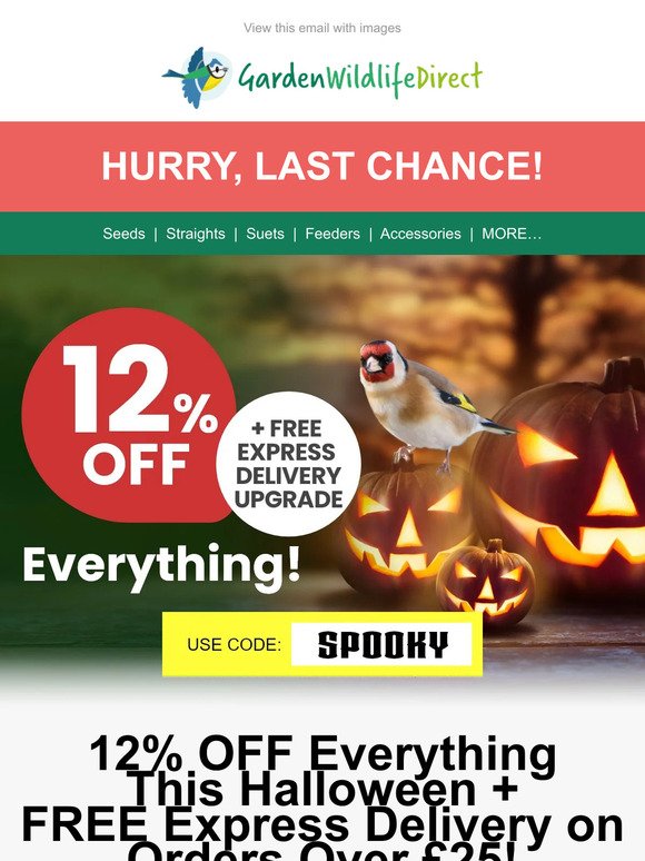HURRY, LAST CHANCE! 12% OFF Everything + FREE Express Delivery!