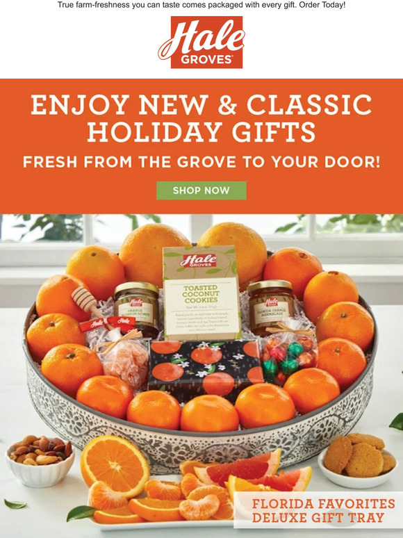 Enjoy New & Classic Holiday Gifts: Fresh from the Grove to Your Door!