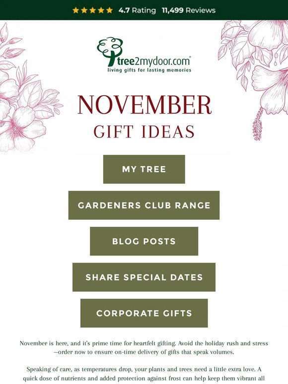 November Gift Ideas 🍂