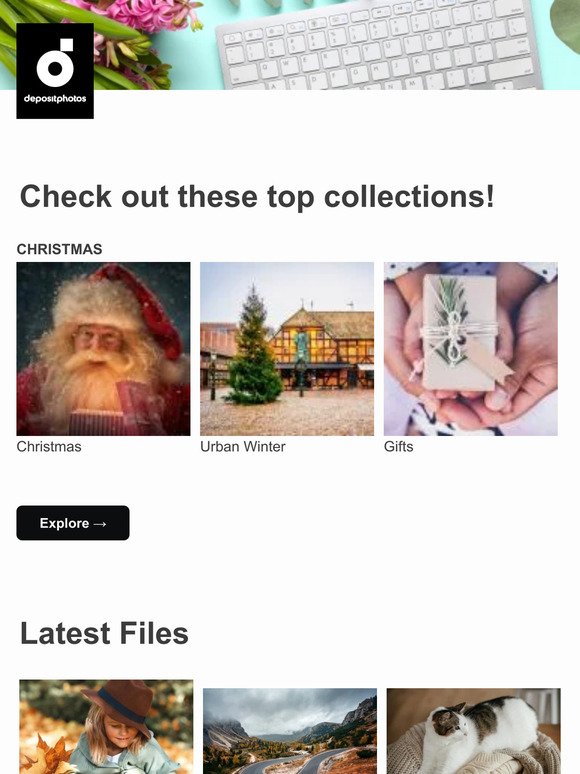 Explore collections that match your search queries