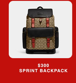 $300 Sprint Backpack