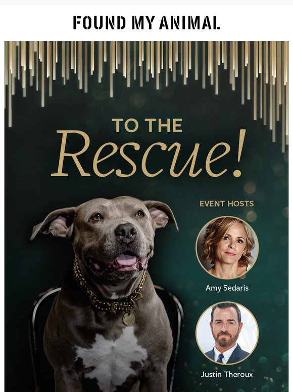 Join us for the 'To The Rescue' event tomorrow 🧡