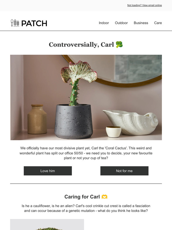 Patch Plants Our most divisive plant yet 👀 Milled