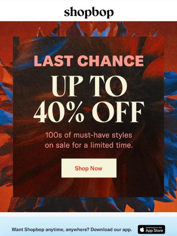 LAST CHANCE: up to 40% off