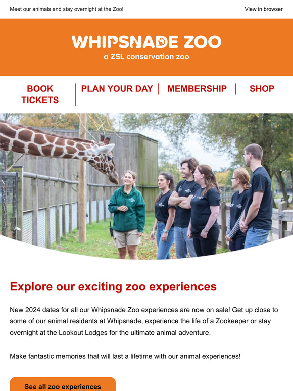 ZSL: New dates released for our zoo experiences 🐯 | Milled