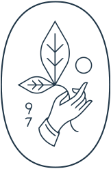 Rishi Tea & Botanicals