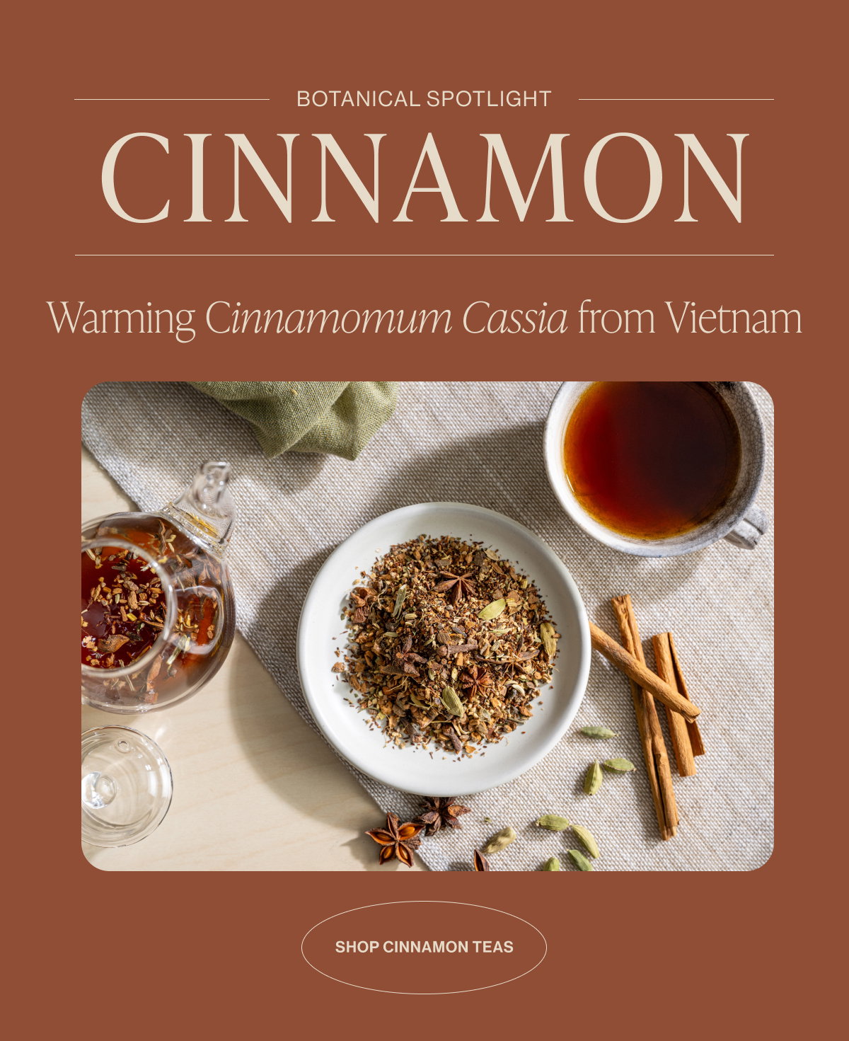 Shop Cinnamon Blends