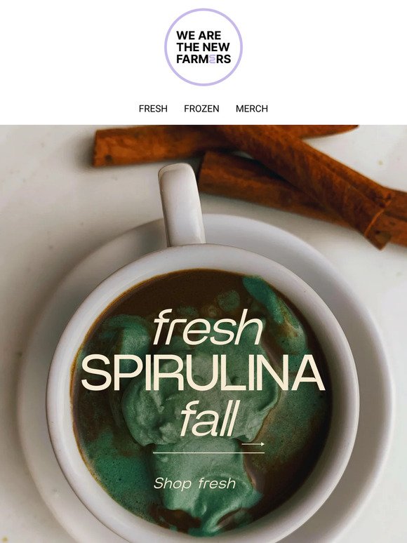 Fall Inspired Fresh Spirulina Recipes 🍂