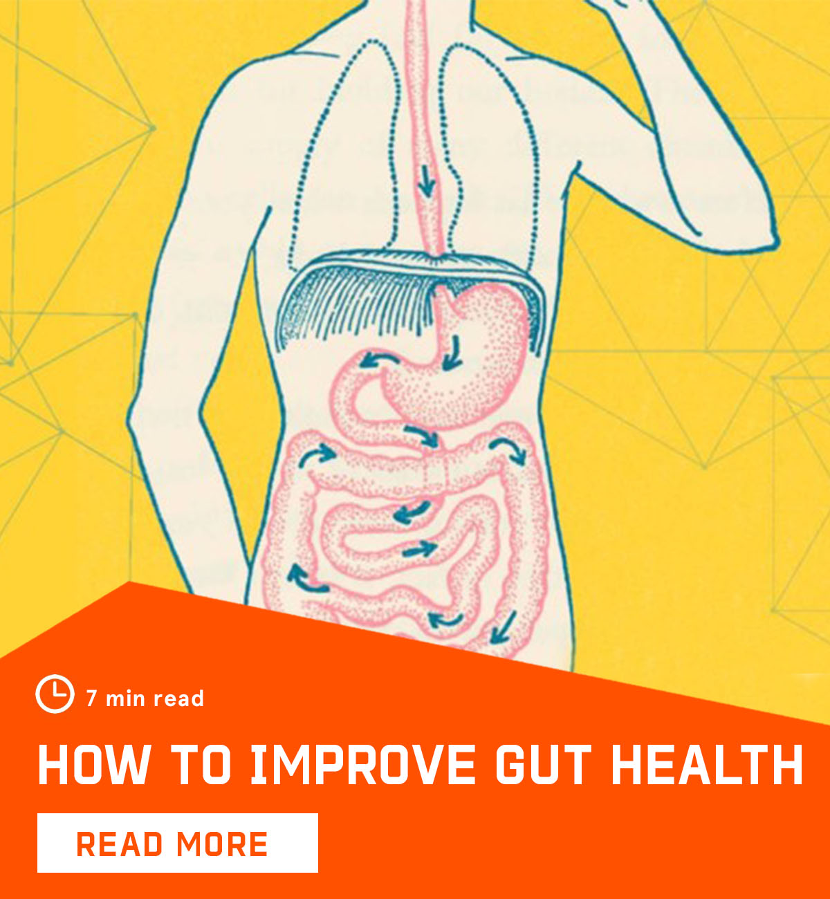 Bulletproof How To Improve Your Gut Health Milled