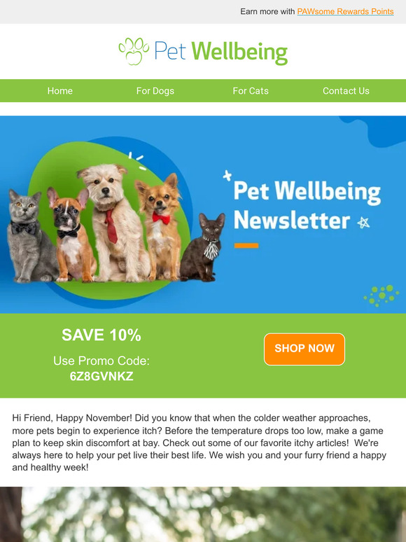 Pet Wellbeing 7 Natural Ways to Relieve Itchy Skin in Dogs and Cats 🐾💚