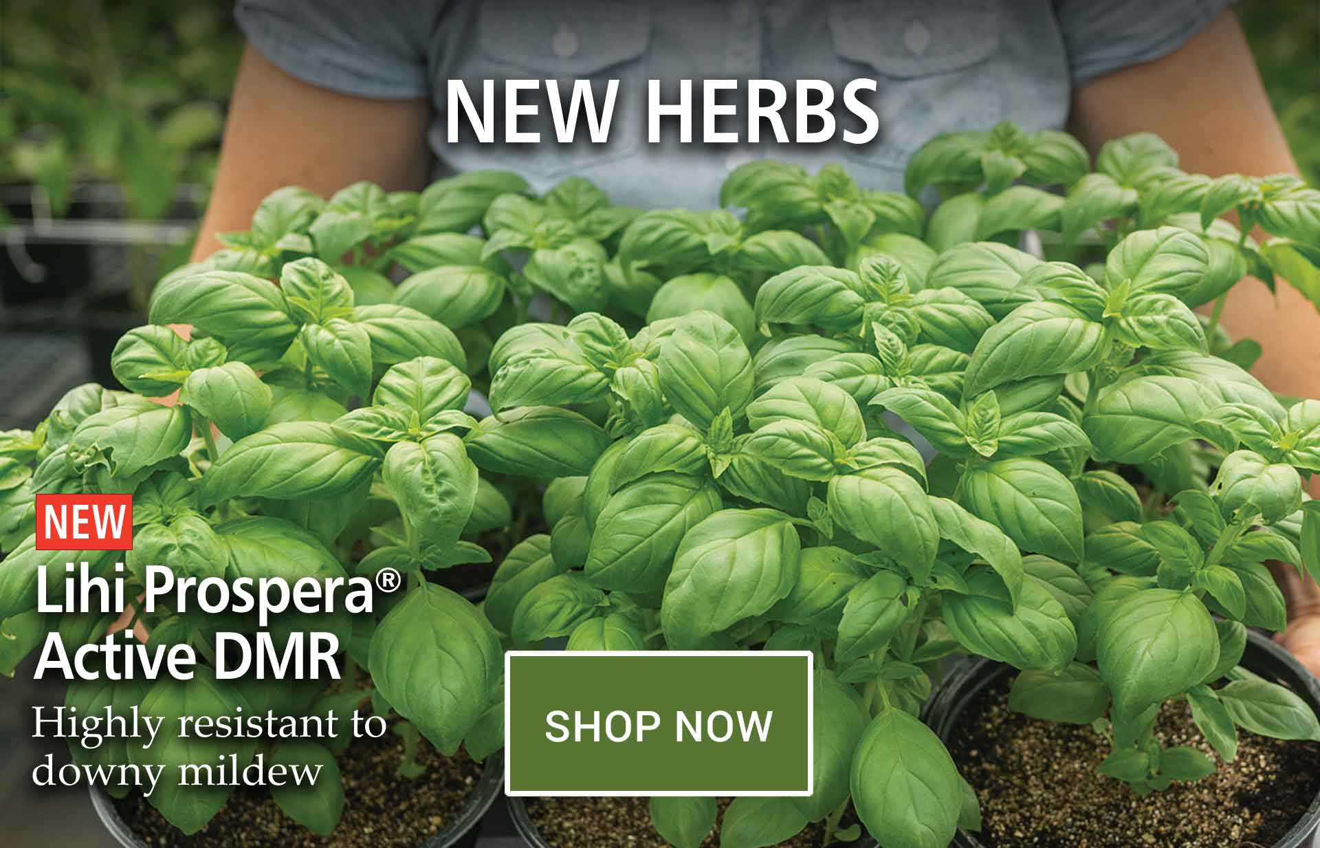 See What's New for 2024! Milled