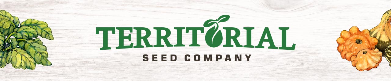 Where Is Territorial Seed Company Located Territorial Seed Company: Discover what’s in store for 2024! 🌱 | Milled