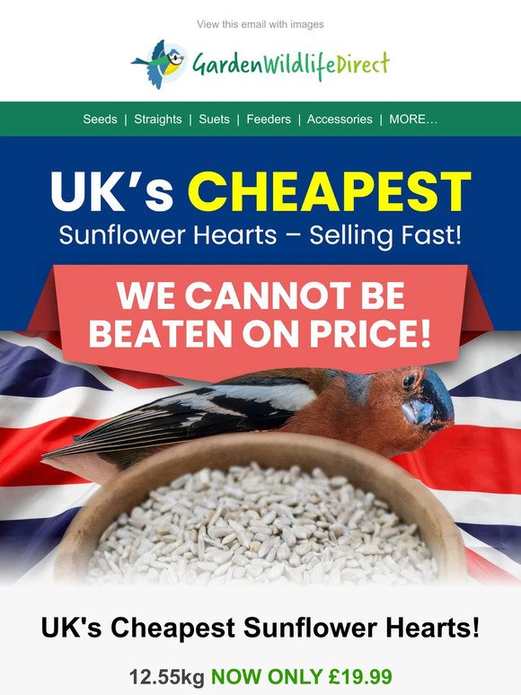 WOW!💰Cheapest Sunflower Hearts in the UK - Selling Fast!!