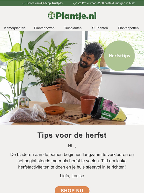Tips voor een herfst vol met planten! 🍂