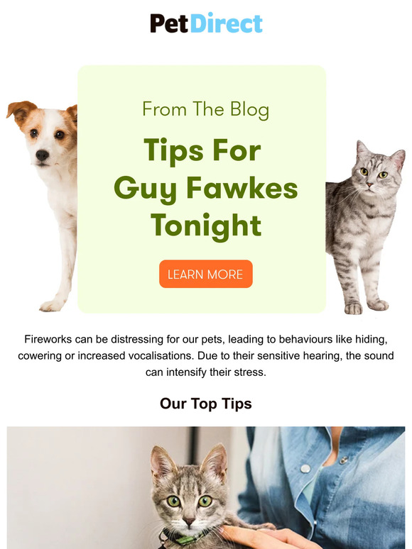 Pet Direct NZ Top Tips For Guy Fawkes Tonight Milled