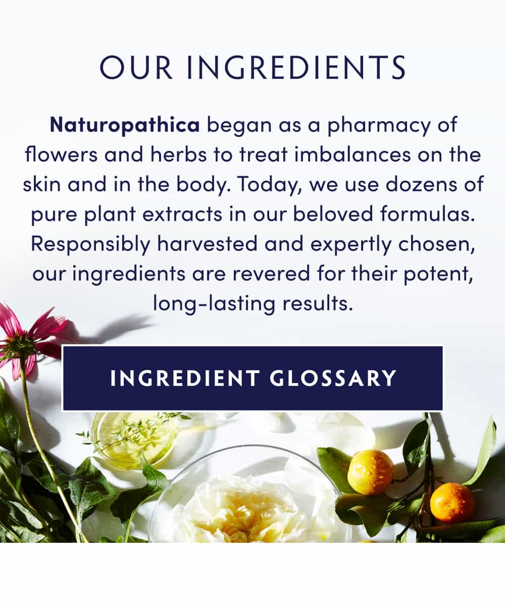 OUR INGREDIENTS Naturopathica began as a pharmacy of flowers and herbs to treat imbalances on the skin and in the body. Today, we use dozens of pure plant extracts in our beloved formulas. Responsibly harvested and expertly chosen, our ingredients are revered for their potent, long-lasting results. INGREDIENT GLOSSARY