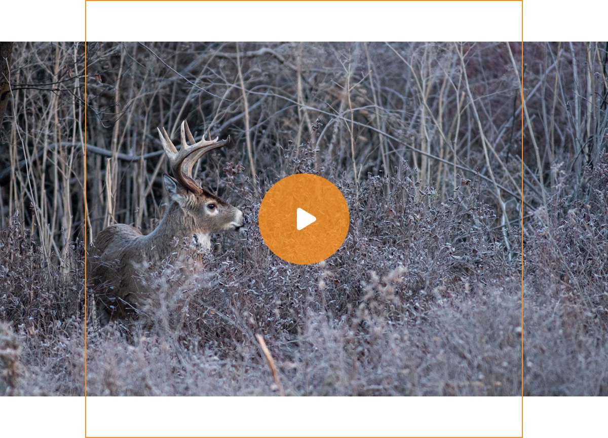 HuntStand Best Hunting Days of the Year Milled