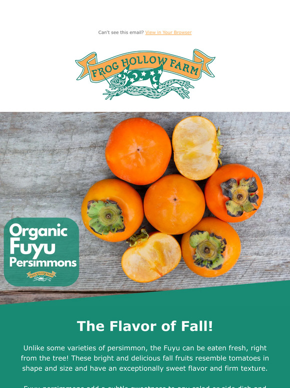 Frog Hollow Farm Celebrate the Season With Persimmons! 🧡🥳 Milled