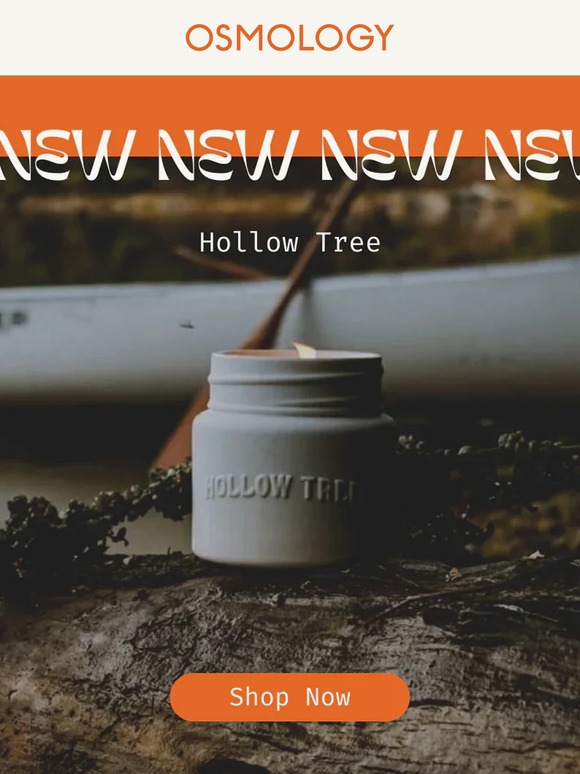 Introducing Hollow Tree Candles