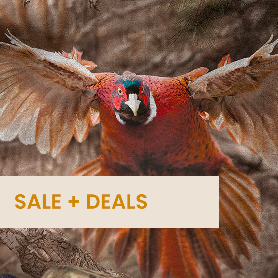 SALE + DEALS