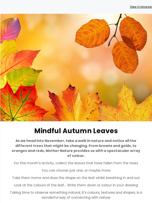 November Activity from Dr Kate!