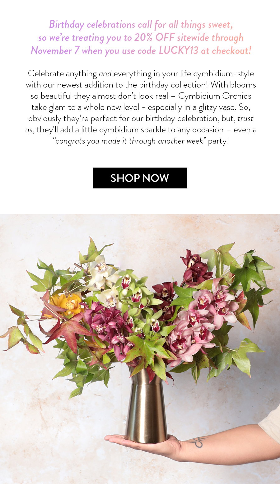 You can have your cake and eat it, too, with our mini cymbidium arrangement lovingly layered in fall foliage. Packaged in a metallic vase that shines brighter than a birthday candle, these cymbidiums bring the party with each stem boasting a plethora of blooms. We love these cyms for their abundance of blossoms – it only takes a few to turn a gathering into a full-blown cymbidium celebration.