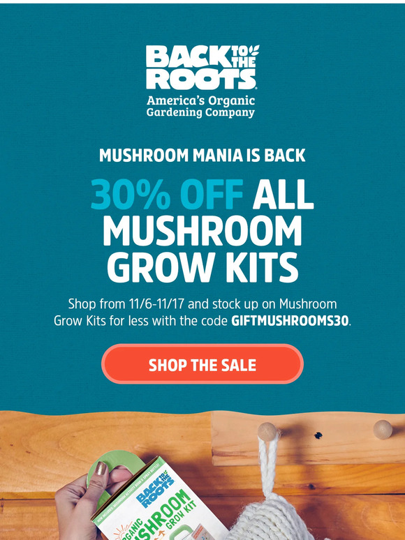 Mushroom Mania is HERE! 🍄🍄🍄