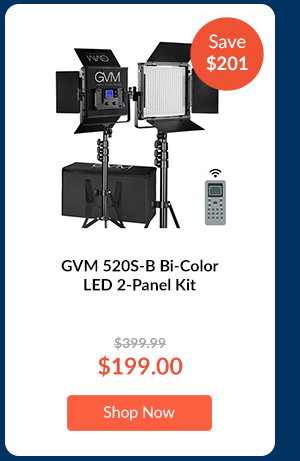GVM 520S-B Bi-Color LED 2-Panel Kit