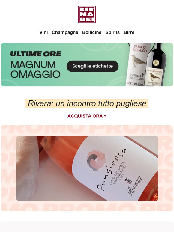 Cavatappi e Visita OMAGGIO | Scopri Rivera e Collemassari