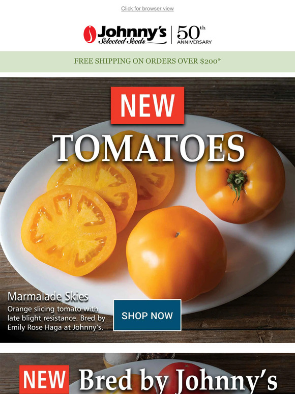 New Tomatoes for 2024