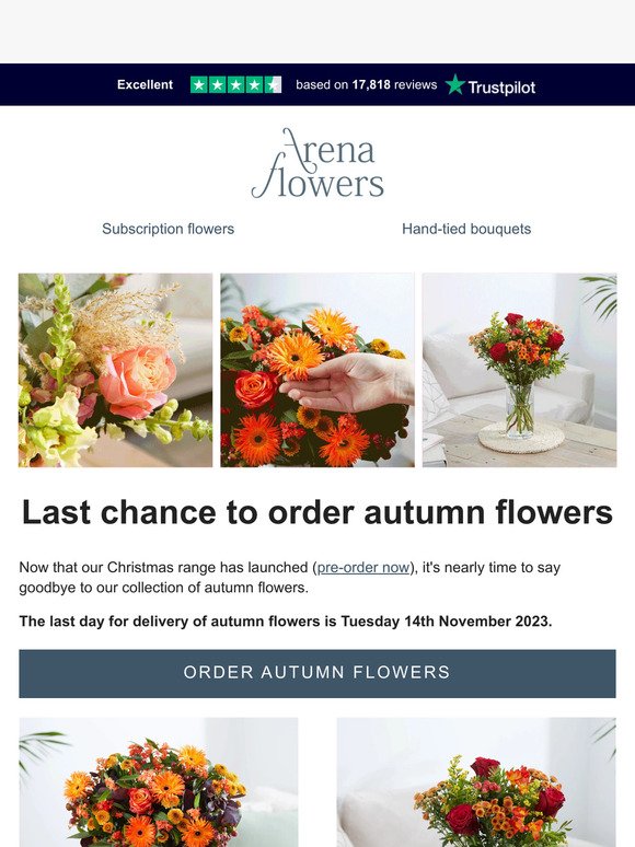 Last chance to order autumn flowers