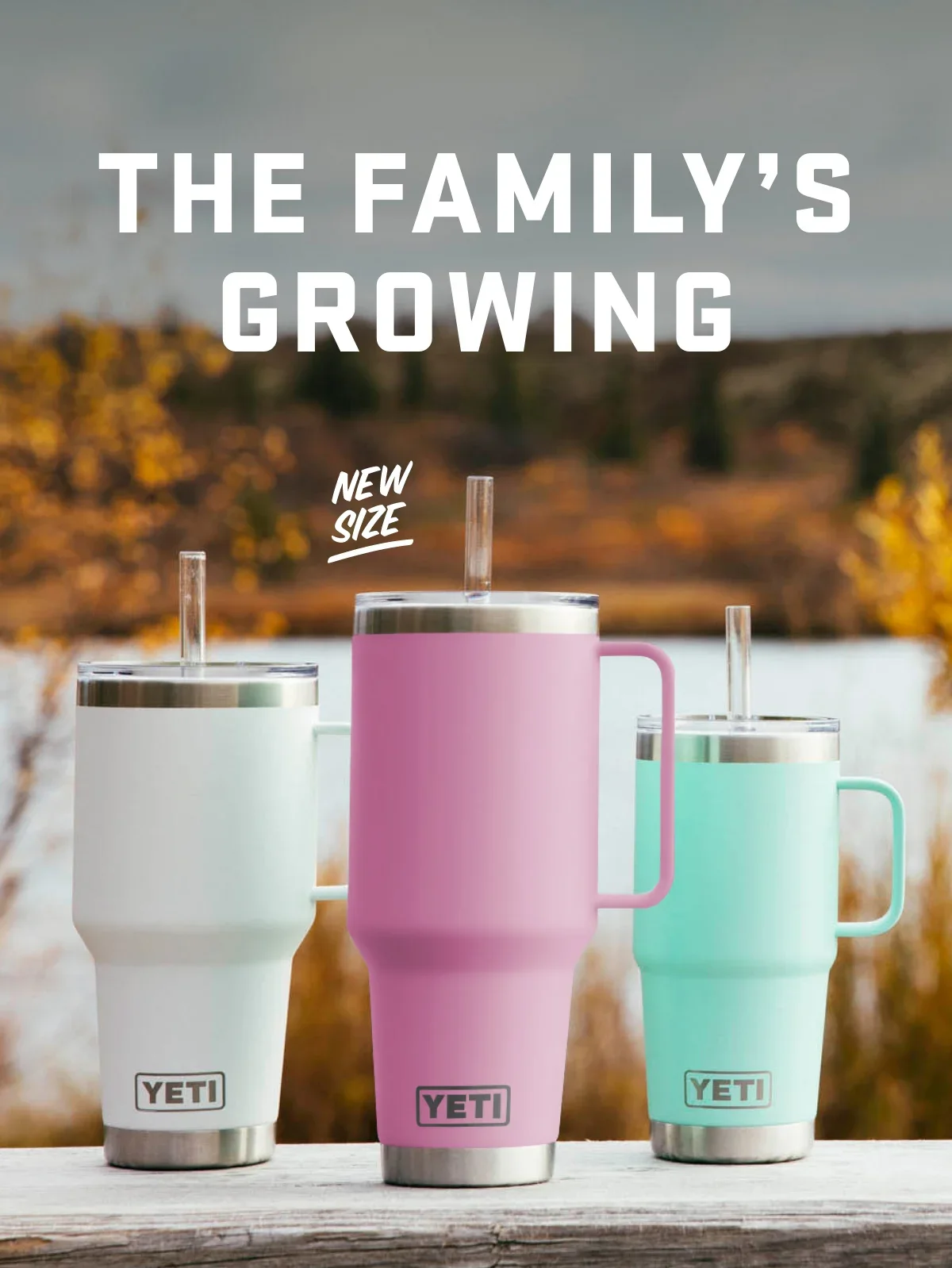 YETI: The Family's Growing