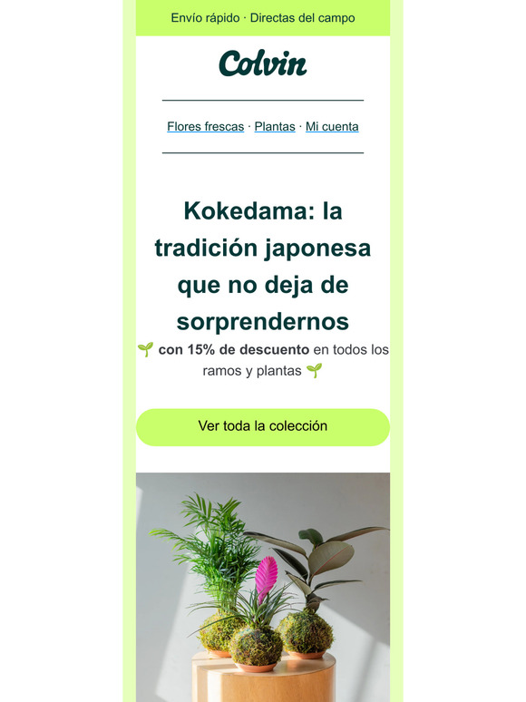 -15% para descubrir esta técnica tradicional de Japón 🗾