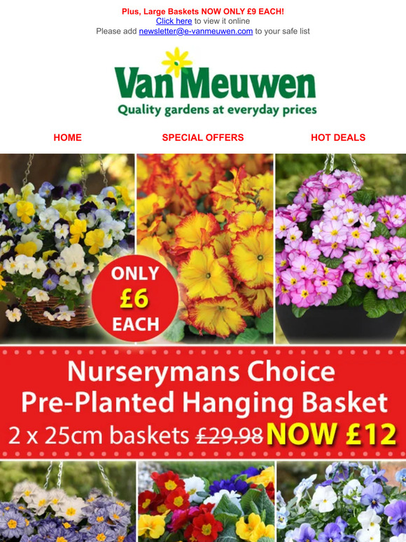 Van Meuwen PrePlanted Winter Hanging Baskets ONLY £6 EACH! Milled