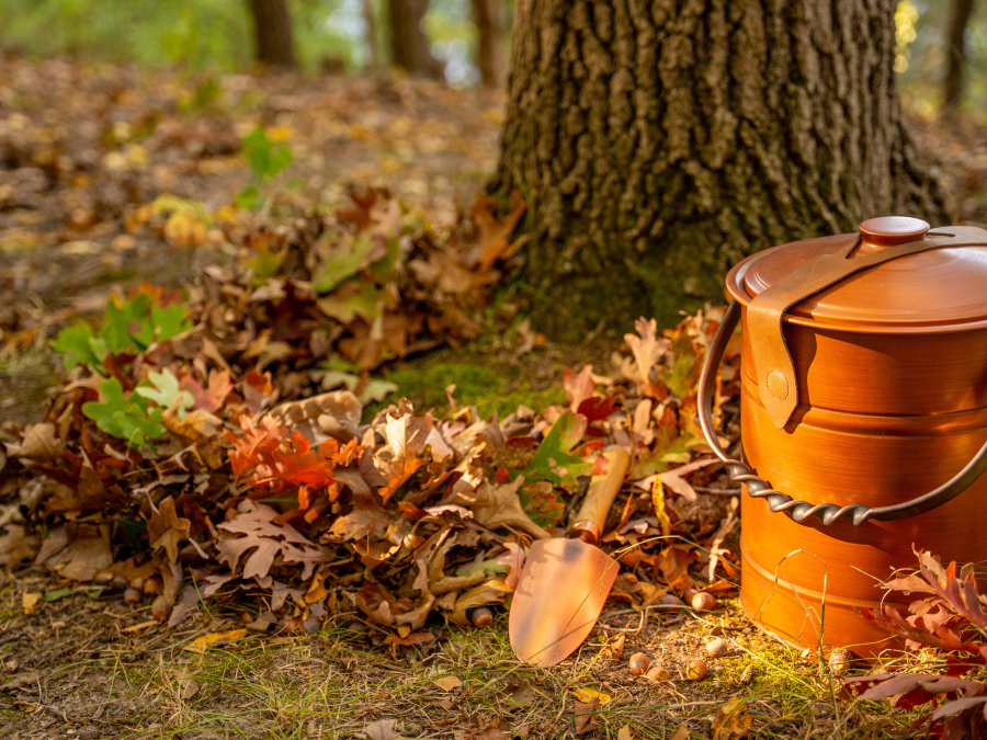 Foffer Better Place Forests: How does a Forest Memorial work? [Photos inside ...