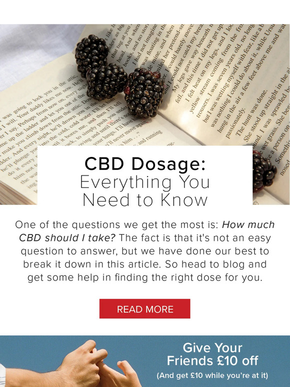 💌  CBD Dosage: Everything You Need to Know