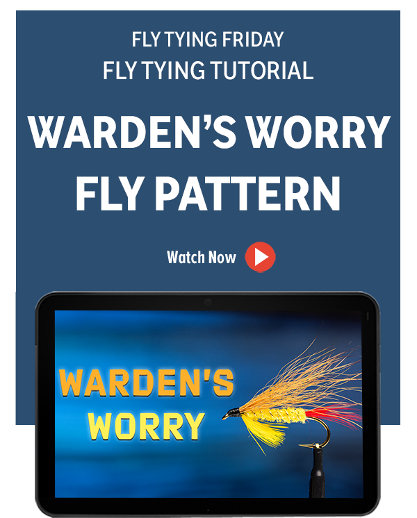 Worry Fly Trident Fly Fishing: How to Tie a Warden's Worry Fly | Milled