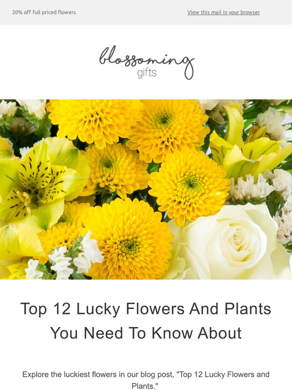 Blossoming Flowers and Gifts Top 12 Lucky Flowers and Plants you need
