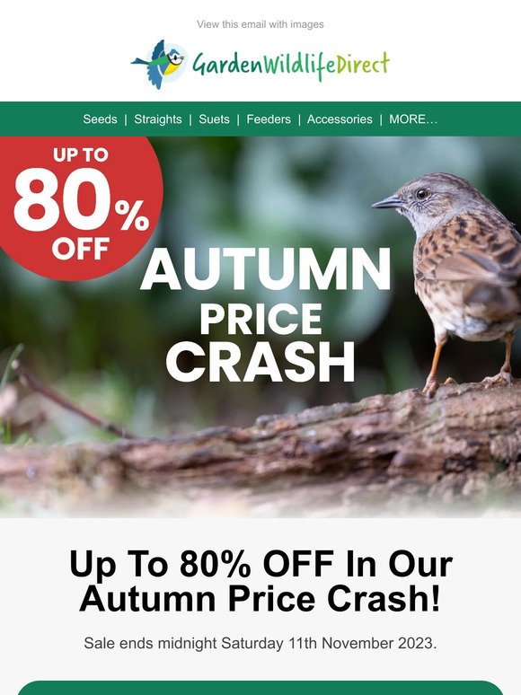 WOW!! 🍂Up To 80% OFF In Our Autumn Price Crash!!
