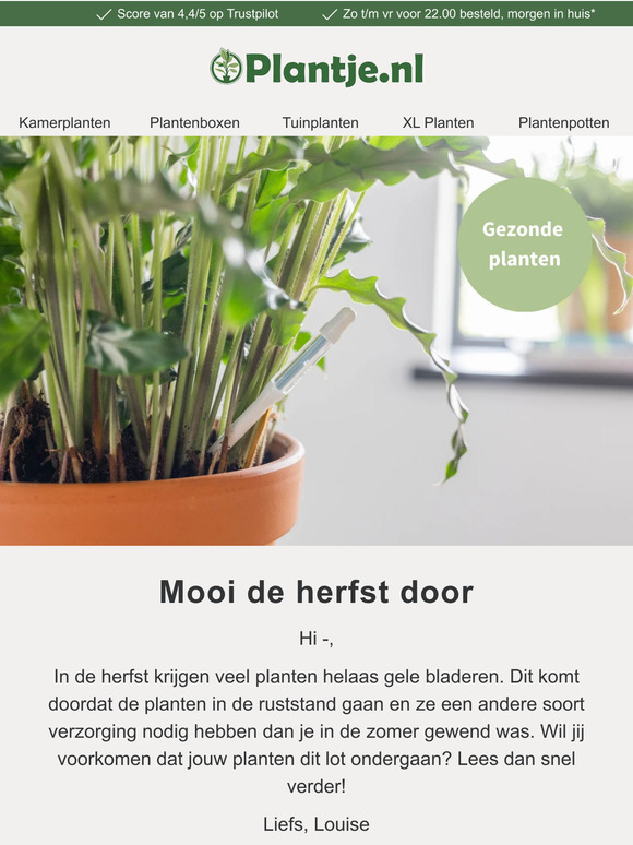 Zo overleeft jouw plant de herfst ���
