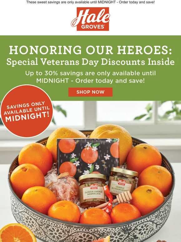 Honoring Our Heroes: Special Veterans Day Discounts Inside